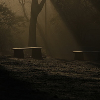 石神井公園の朝Ⅹ