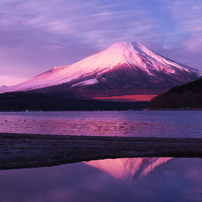 四季