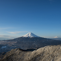 空蒼し