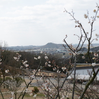 ２０１５０２２８