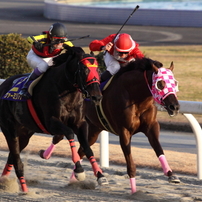 勝利への執念