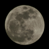 SIGMA(シグマ)のレンズ APO 135-400mm F4.5-5.6 DG (ﾆｺﾝ AF) で撮影