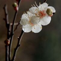 Img_7329_640