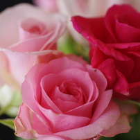 夜の薔薇スタジオ-3