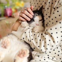 ２１歳の猫と