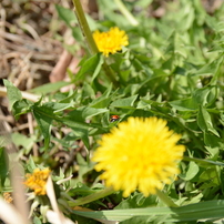 20150321 1