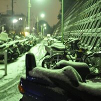 散積雪 No.2
