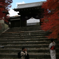 曼殊院門跡なう