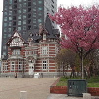 SONY(ソニー)のデジタルカメラサイバーショット DSC-WX30 で撮影した