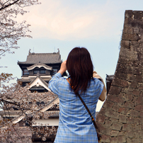 熊本城と桜と