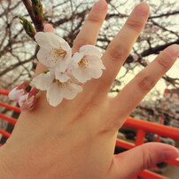 結婚