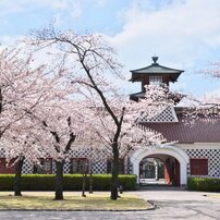 新潟市中央区