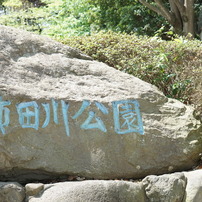 柿田川公園