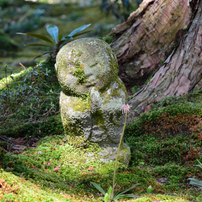 京都大原三千院