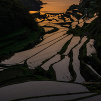 棚田の風景 2015年春