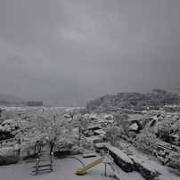 雪景色