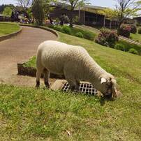 2015-04-24-12-26-06_photo