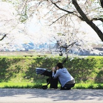 CANON EF 135mm F2.8 作例あり 動作確認済み 今だけ特典付き CANON EF 135mm F2.8 作例あり 動作確認済み