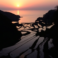 水田の景