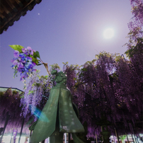 夜空　2015.4～5