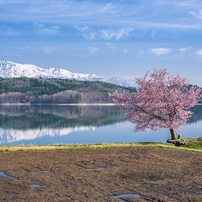 PENTAX(ペンタックス)のレンズ smc PENTAX-D FA645 55mmF2.8AL[IF] SDM