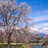 PENTAX(ペンタックス)のレンズ smc PENTAX-D FA645 55mmF2.8AL[IF] SDM