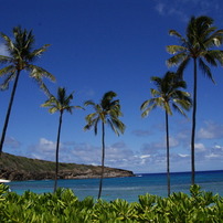 HawaiiSea