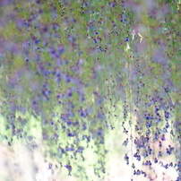 DSC02241