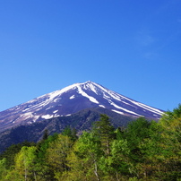 世界遺産の富士山