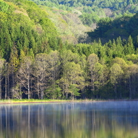 朝陽差す