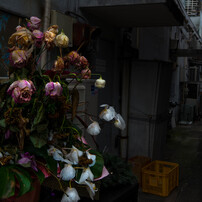 野毛界隈
