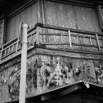 OLYMPUS(オリンパス)のフィルムカメラμ[mju:] ZOOM PANORAMA で撮影