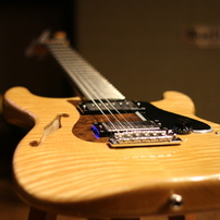 Guitar TB GuitarWorks