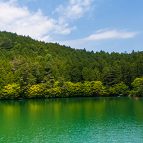 新緑の伊奈ヶ湖