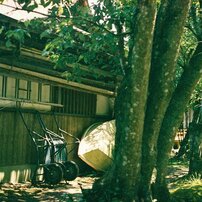 PENTAX(ペンタックス)のフィルムカメラME-F で撮影した写真(画像)一覧