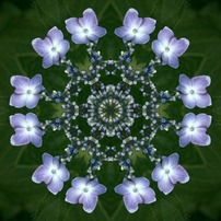 Kaleidoscope of the world  -Part 2-