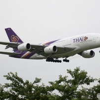 THAI A380-841曇り
