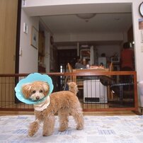 リビングルーム