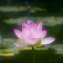 三行三様