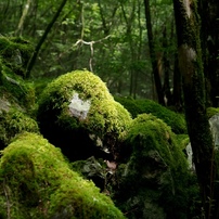 山犬嶽1