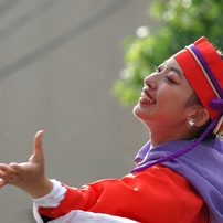 第５０回銭形よさこい