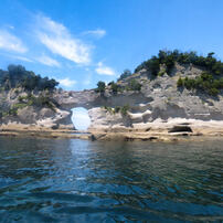 PANASONIC(パナソニック)のデジタルカメラLUMIX DMC-TZ35 で撮影した