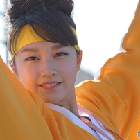 紀州よさこい祭り②喜笑花さん