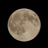 PENTAX(ペンタックス)のレンズ SMC PENTAXM☆67 800mmF6.7ED[IF] で 