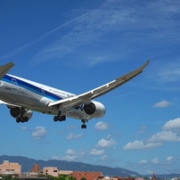 ANA 787