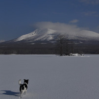 2010年　冬の北海道
