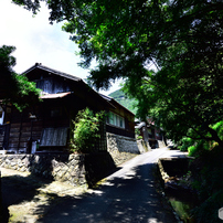 夏の花沢