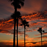 Sunset of memoriesⅡ