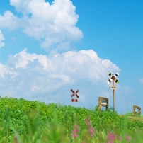 鉄道風景