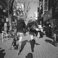 HASSELBLAD(ハッセルブラッド)のフィルムカメラ903SWC で撮影した写真
